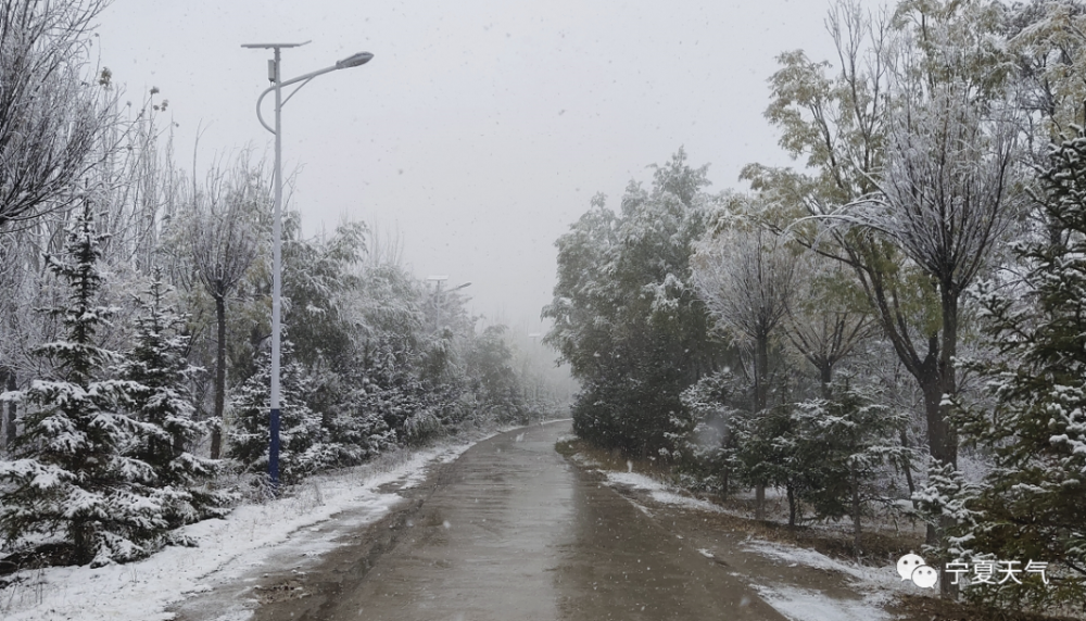 下雪啦!宁夏本周最低气温