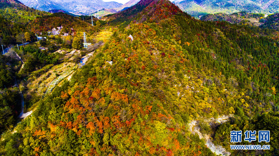 秋染大别山 斑斓如画卷