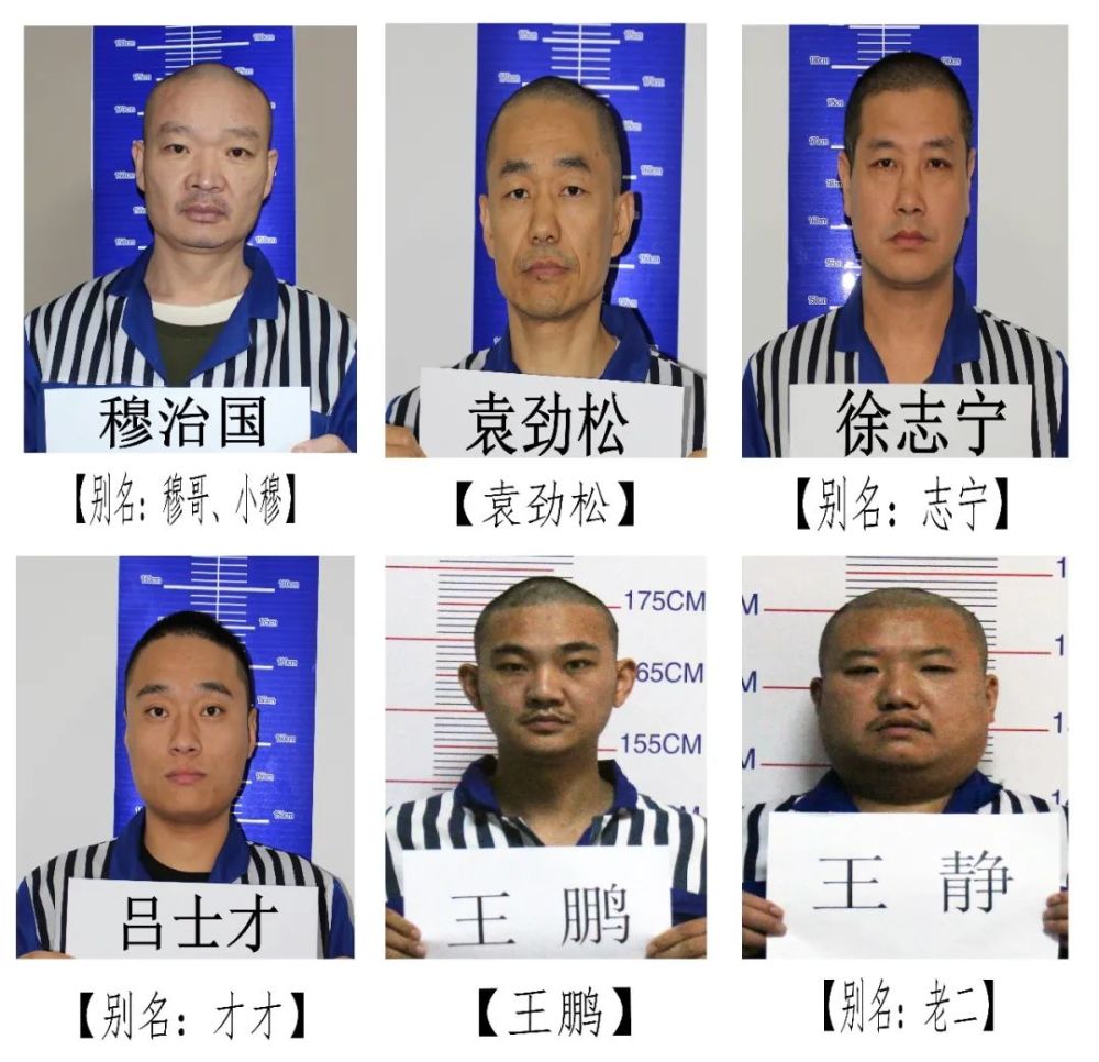 局德城分局一举打掉了以赵金钢为首的涉黑恶团伙,抓获了赵金钢,高磊