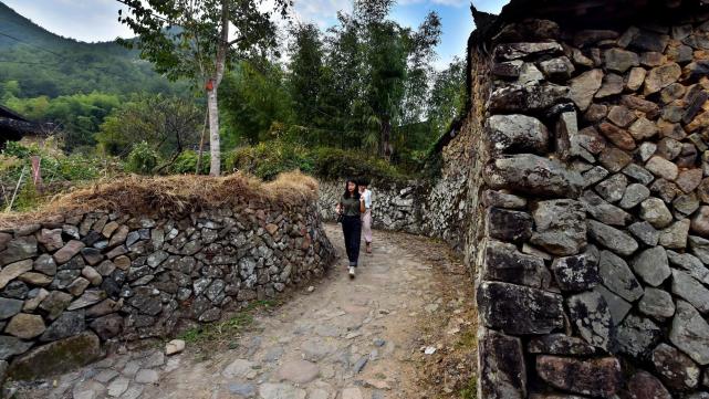一年要吃掉50多万斤|幸福三重奏3|小山村|幸福三重奏|浙江|岙底村|筱