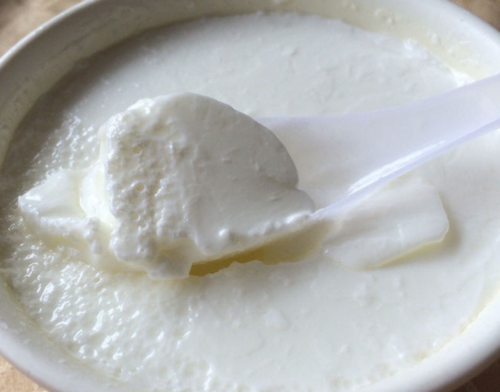 正宗的新疆传统酸奶,这样一勺子下去是呈凝块儿状的