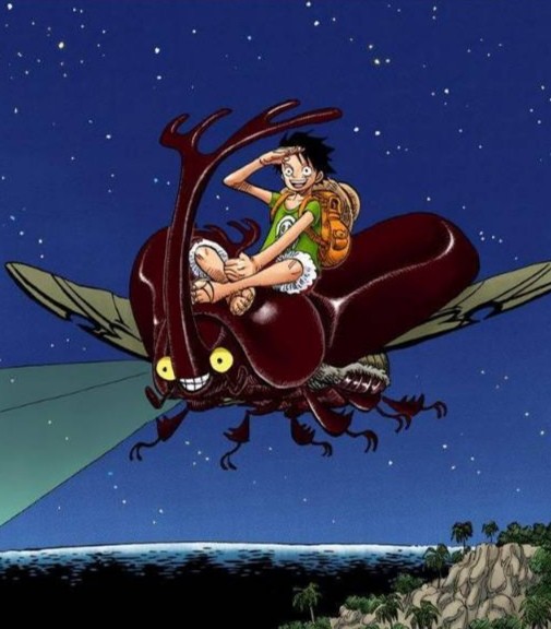 尾田从小就是一个浪漫主义者独角仙被他带到了海贼王中