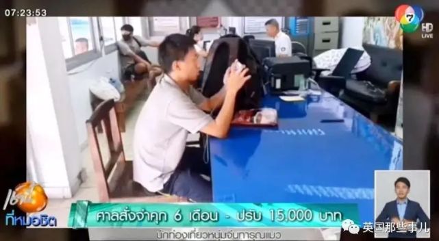 中国男子在泰国虐猫被遣返，辩称这在中国并不违法u2026虐猫猫咪泰国_社会