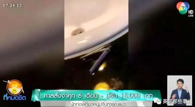 中国男子在泰国虐猫被遣返，辩称这在中国并不违法u2026虐猫猫咪泰国_社会