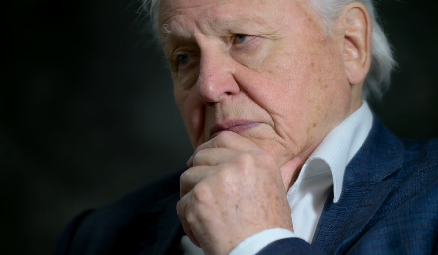 大卫·爱登堡|豆瓣9.4，凭实力“解说”，他才是真正的偶像