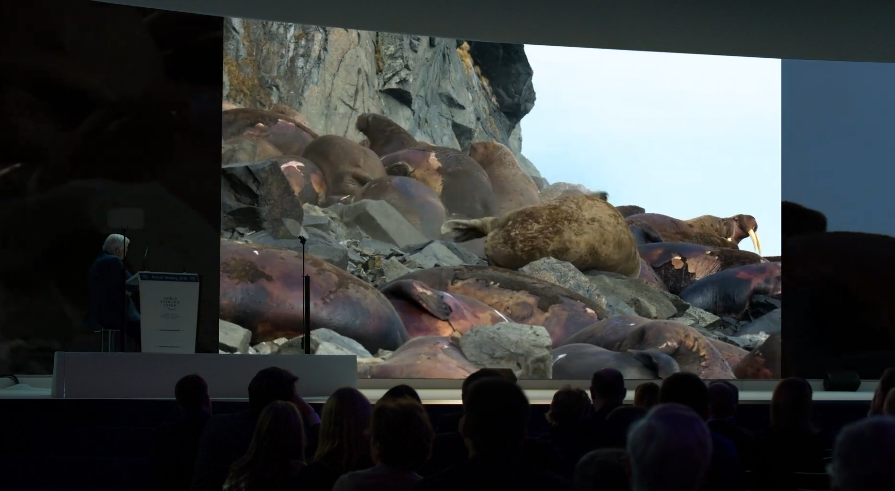 大卫·爱登堡|豆瓣9.4，凭实力“解说”，他才是真正的偶像