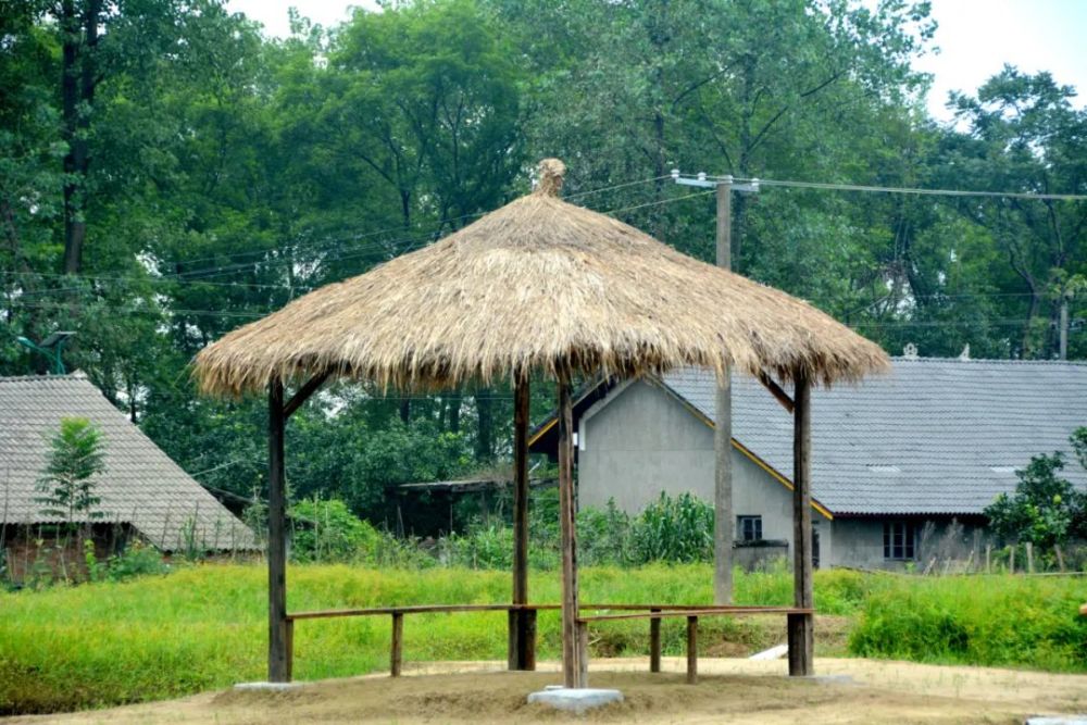 烧烤棚是搭建的一排长廊式的简易实用的茅草棚烧烤场,与周围树林构成