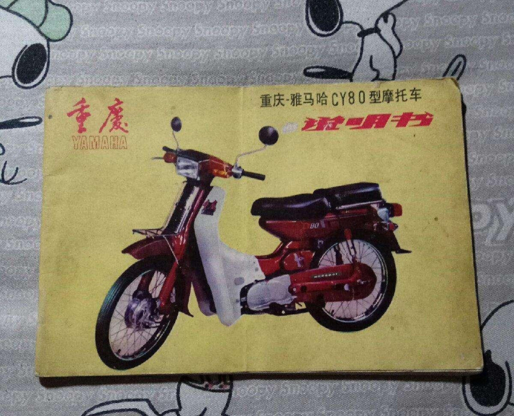 雅马哈摩托车品牌在国内生产过哪些厂家有一个算一个到底有几家 摩派摩托网