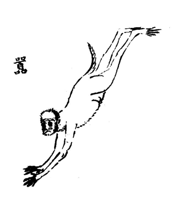 山海经十大奇兽吃了可缓解各种疑难杂症