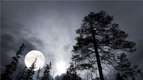 地球|全球有4大奇异之地，位于同一纬度线，这里发生的事科学解释不了