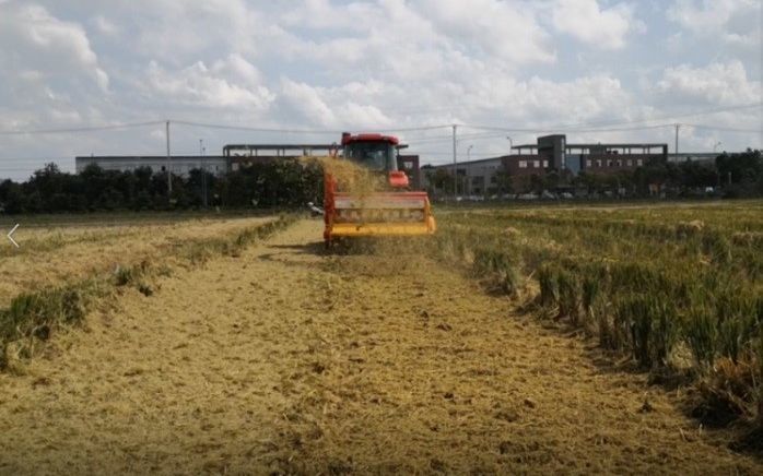 秸秆|稻麦轮作区秸秆处理难？我国科学家研发高效机械