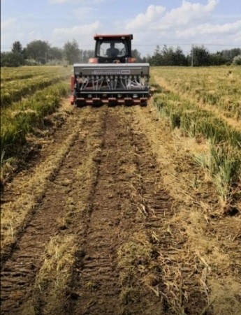 秸秆|稻麦轮作区秸秆处理难？我国科学家研发高效机械