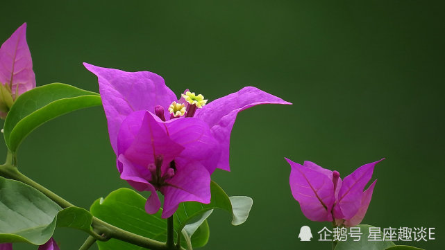 10月28日星座运势 白羊提高警惕 狮子未雨绸缪 射手水到渠成 射手座 狮子座 星座运势 白羊座