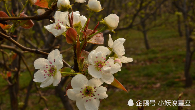 10月28日星座运势 全力以赴 深思熟虑的四大星座 腾讯网