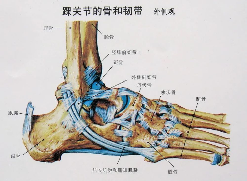 一文掌握经常性崴脚的预防与处理 腾讯新闻