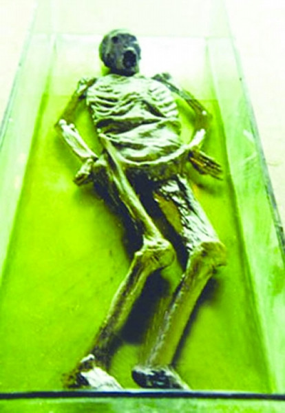 荆门郭家岗一号墓被盗案纪实