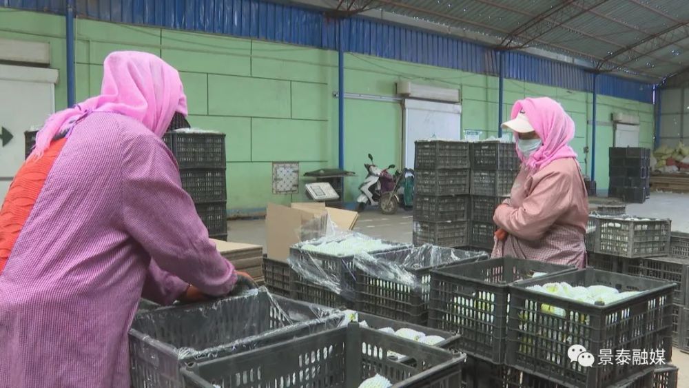 福州冷链招聘网站建设人员(福州冷链招聘网站建设人员公告)