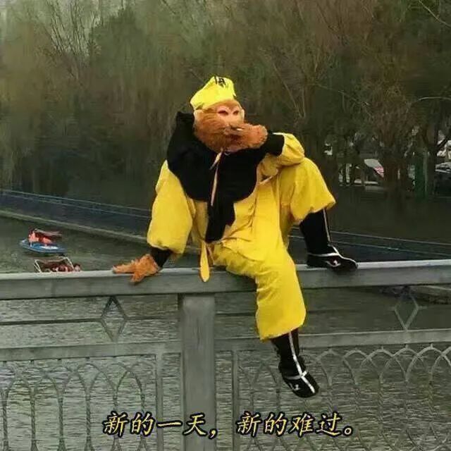 沙雕表情包:悲伤流泪鸽鸽头