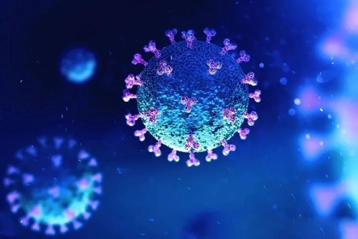 疫苗|疫苗前沿｜PNAS：细胞膜纳米囊泡，缓解新冠肺炎的新疗法