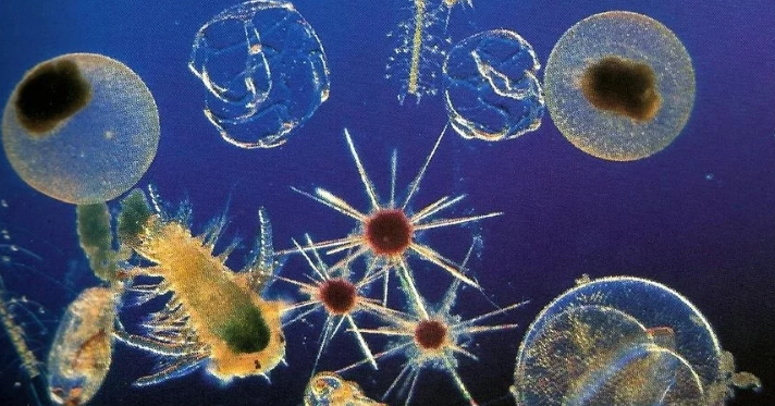 科学家|20亿年前，史前文明创造了核反应堆？科学家：真相在这里！