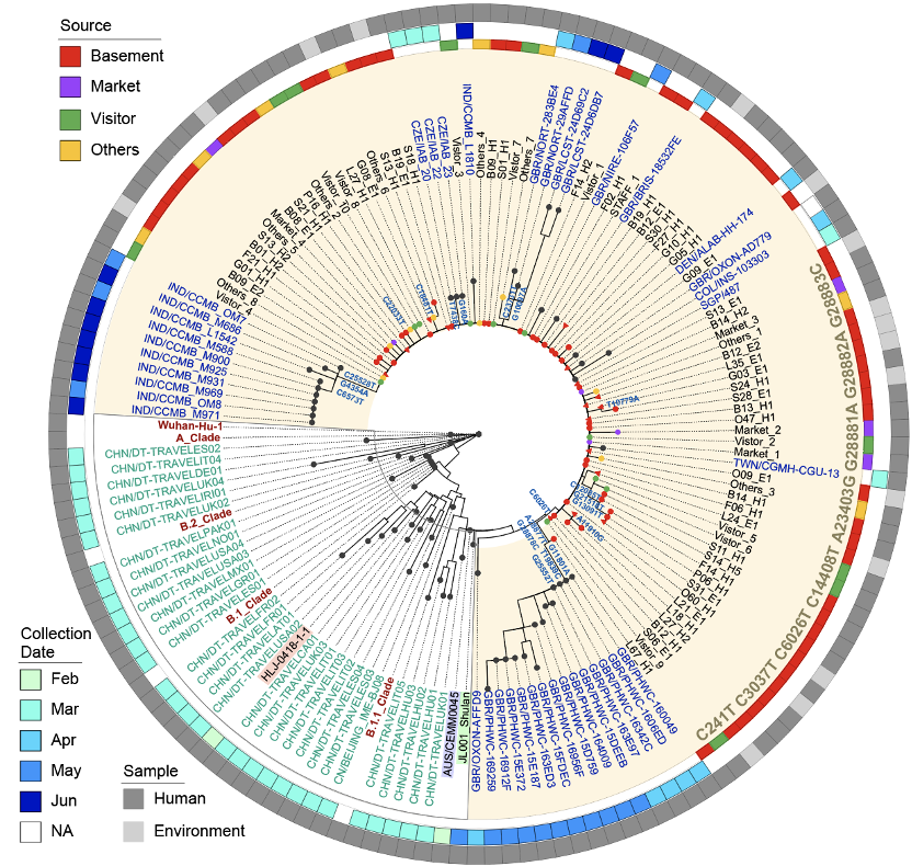 疫情|北京新发地疫情病毒来自何方？最新研究揭示可能源于冷链食品污染