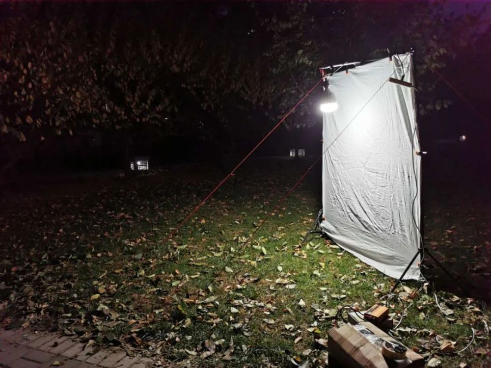 昆虫博物团队校园昆虫调查24区灯诱