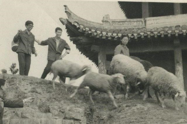 杨兰花|知青往事：当年为了返城抛妻弃子，回去的时候就只剩下半条命