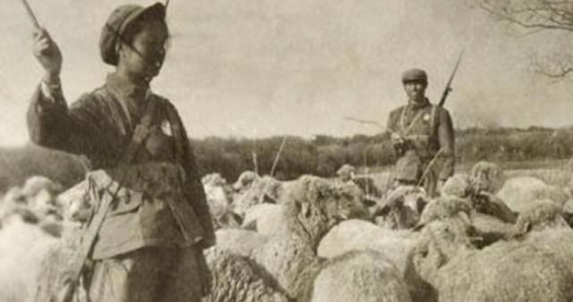 杨兰花|知青往事：当年为了返城抛妻弃子，回去的时候就只剩下半条命