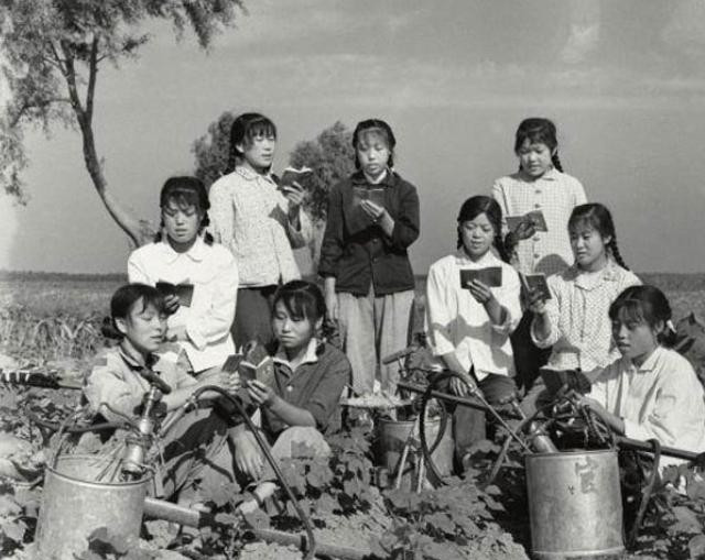 杨兰花|知青往事：当年为了返城抛妻弃子，回去的时候就只剩下半条命