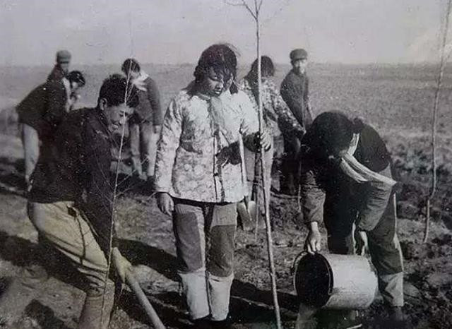 杨兰花|知青往事：当年为了返城抛妻弃子，回去的时候就只剩下半条命