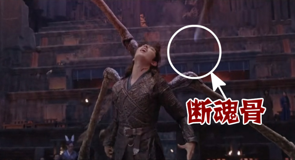 真人版斗罗大陆解禁动画党吐槽唐三魂骨魂环锤子一言难尽