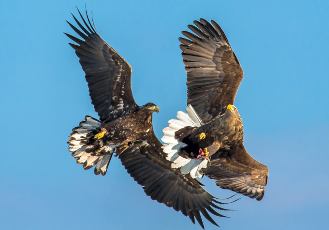 新疆|世界自然保护联盟|波兰_旅游|湖泊