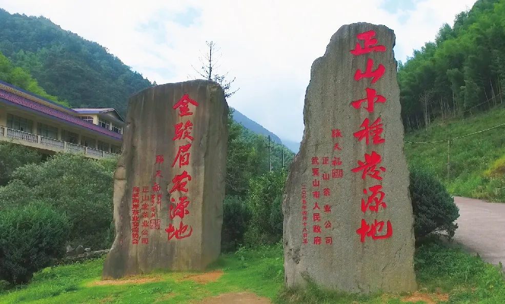 碧水丹青双世遗九曲码头品好茶武夷岩茶第一镇星村镇邀您赴约