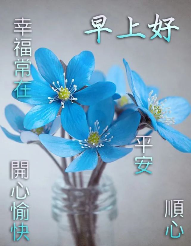 早上好问候语图片 早上好的句子 微笑