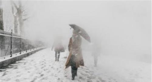 南澳大利亚|澳洲山火4个月不灭，南极已经出现异象，科学家最担心的事还是发生了