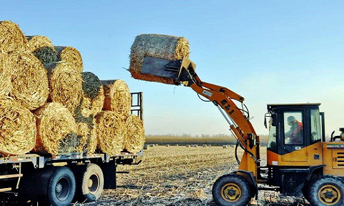 当初大力鼓励秸秆还田,今弊端显现,咋又允许秸秆焚烧了?