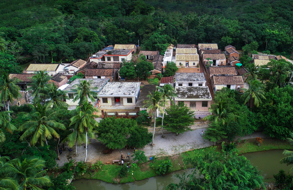海南只有13户人家的小村落蔬果自己种家禽自己养宛如世外桃源