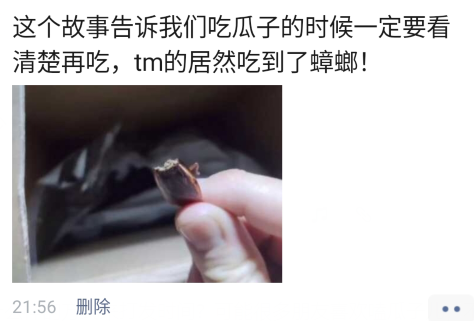 这个故事告诉我们 吃瓜子要看清楚 辛亏我家蟑螂没这么大 腾讯网