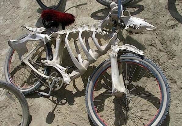 2,用羊骸骨做的自行车,比较惊悚了