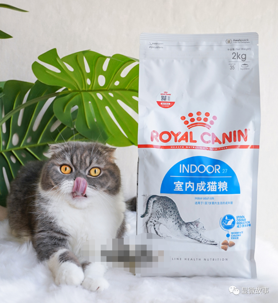 宠物灰色产业链：为降低成本在猫粮里拌桔梗粉 猫咪肾脏衰竭