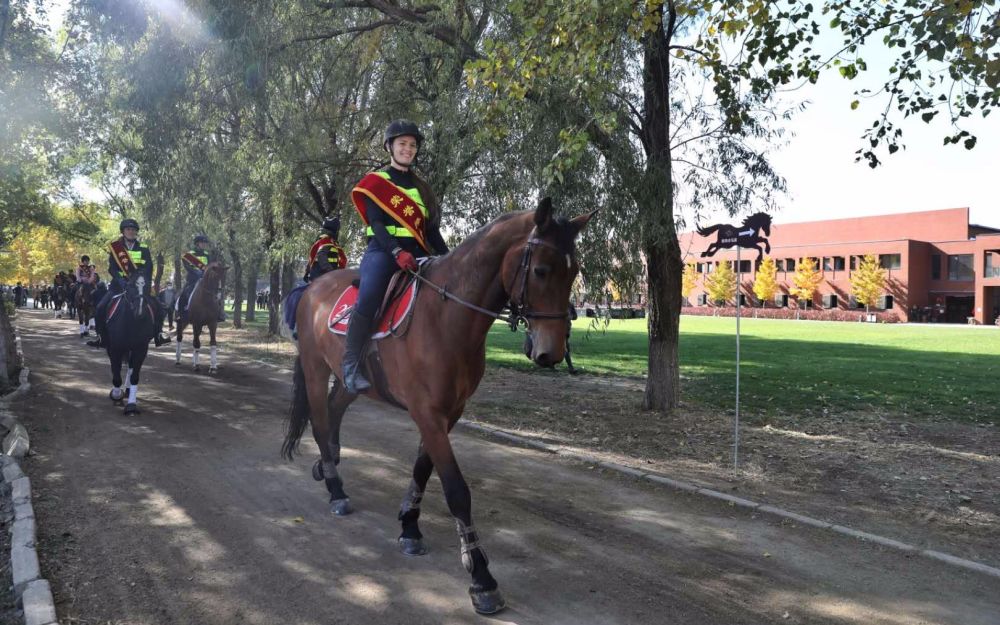 崔各庄乡|北京朝阳北部开放首条城市马道，可骑马乘车观光