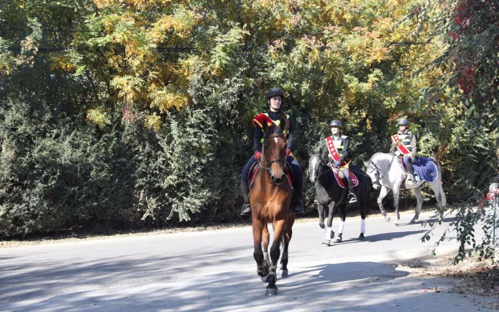 崔各庄乡|北京朝阳北部开放首条城市马道，可骑马乘车观光