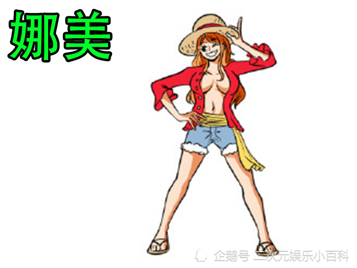 海贼王:当草帽团成员互换服装后会怎样?索大换泳装,布鲁克捧腹