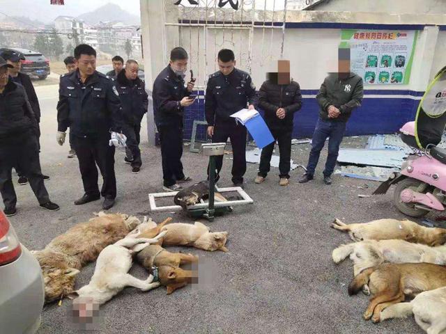 偷狗杀狗,男子用狗肉冒充牛羊肉做盒饭还怼人:要你管,你算啥