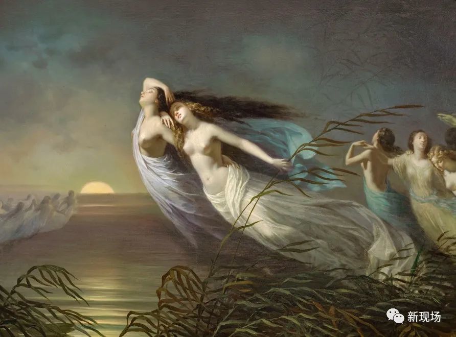 舞剧|说到“舞蹈至死”，你会想起什么？