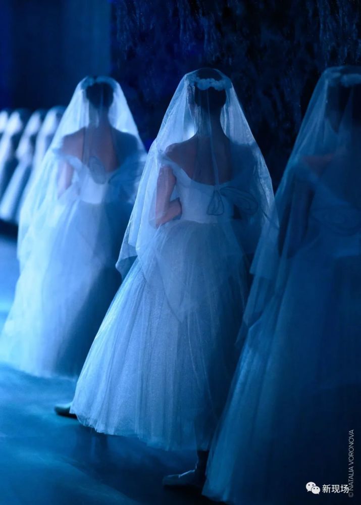 舞剧|说到“舞蹈至死”，你会想起什么？