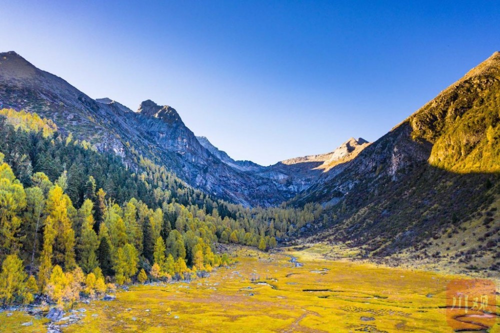 熊猫健康游|"森林康养"助力小金林业产业升级