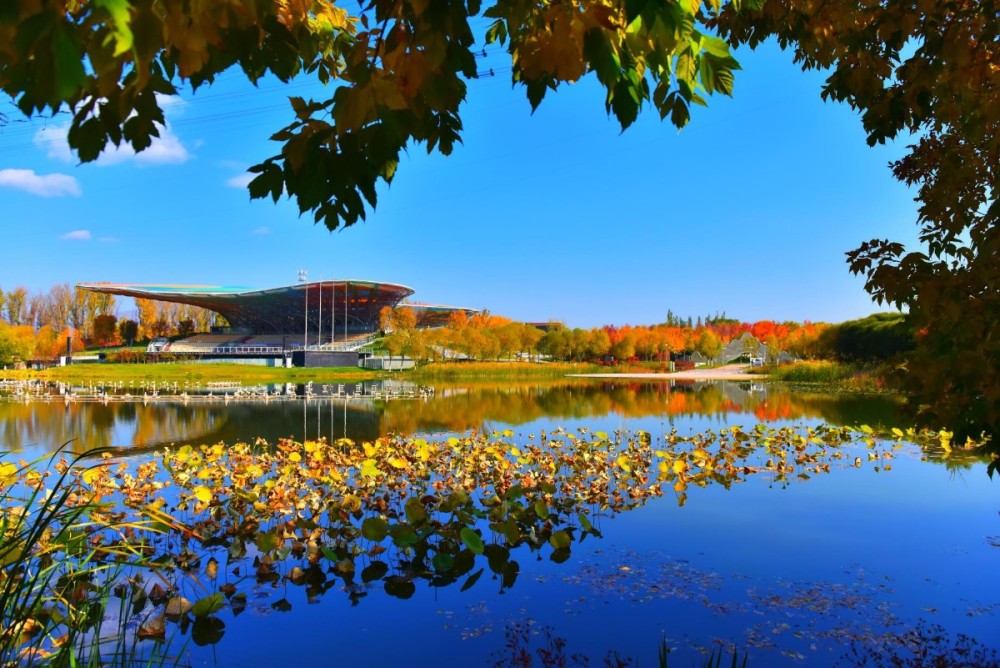 北京世园公园|大自然的调色板！北京世园公园迎来“醉美”之秋