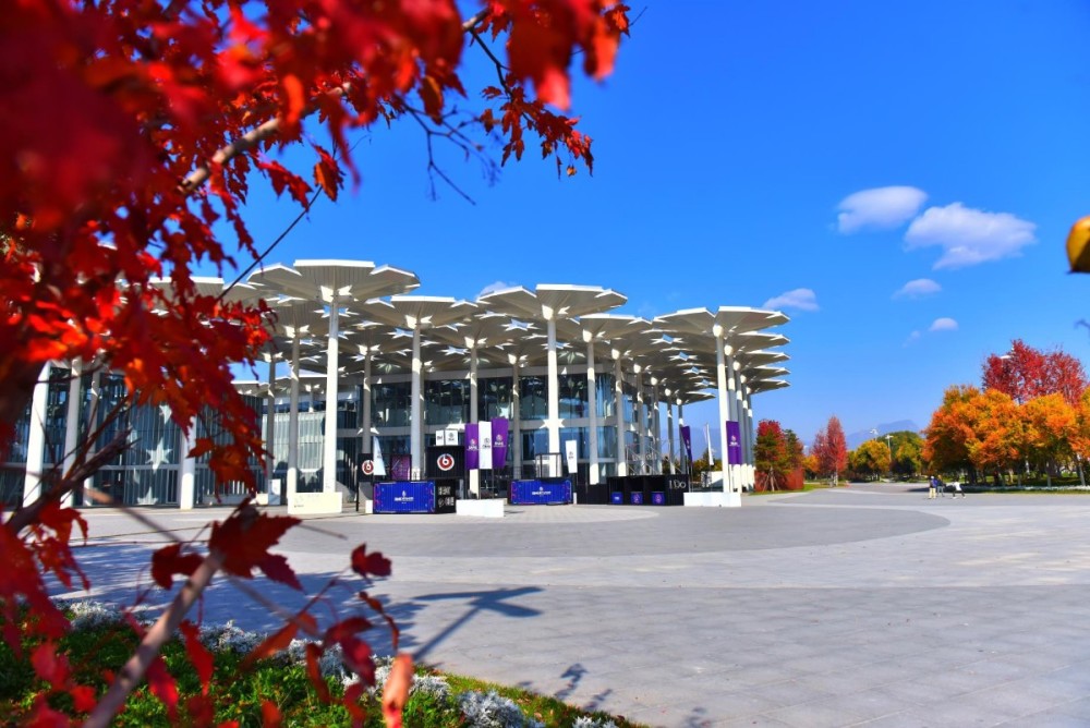 北京世园公园|大自然的调色板！北京世园公园迎来“醉美”之秋