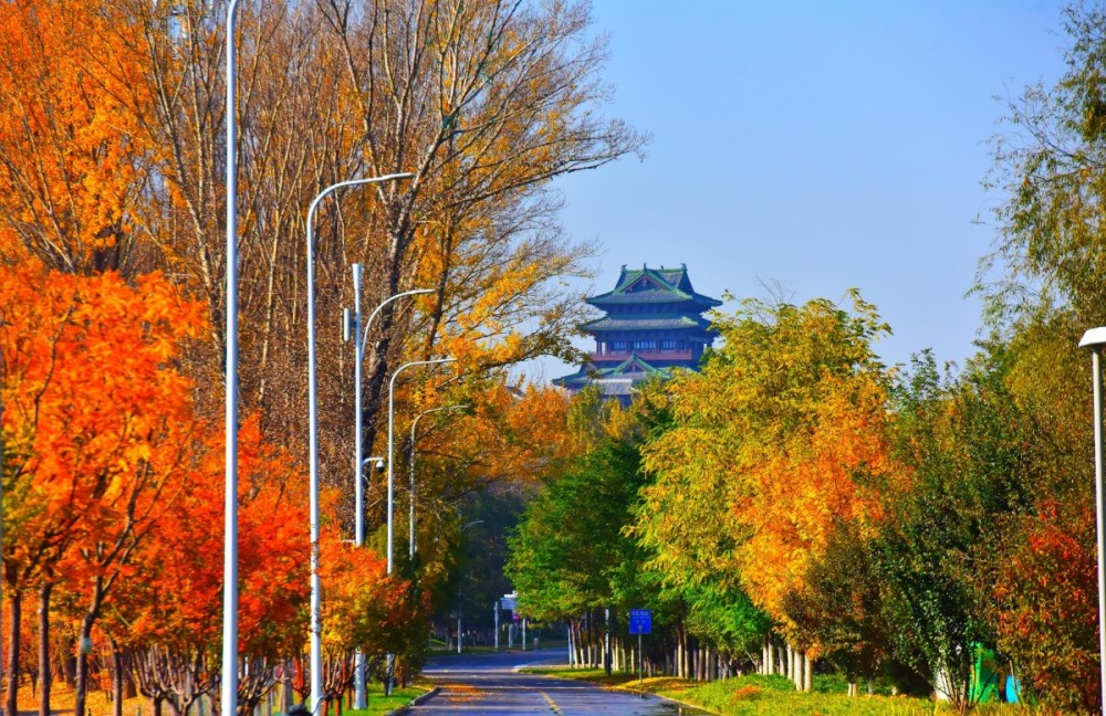 北京世园公园|大自然的调色板！北京世园公园迎来“醉美”之秋
